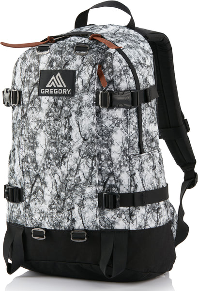 gregory 1 street backpack Gregory All Day V2.1 – OHIO