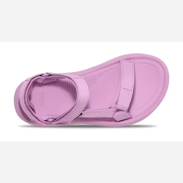 TEVA HURRICANE XLT2 AMPSOLE (LPN)
