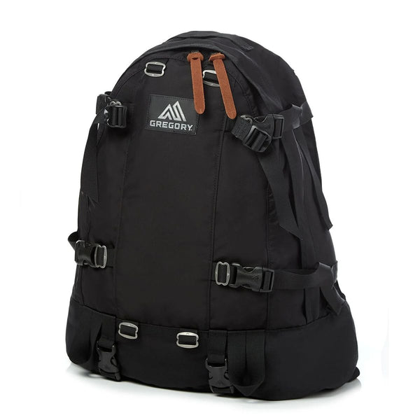 GREGORY D & H BAG