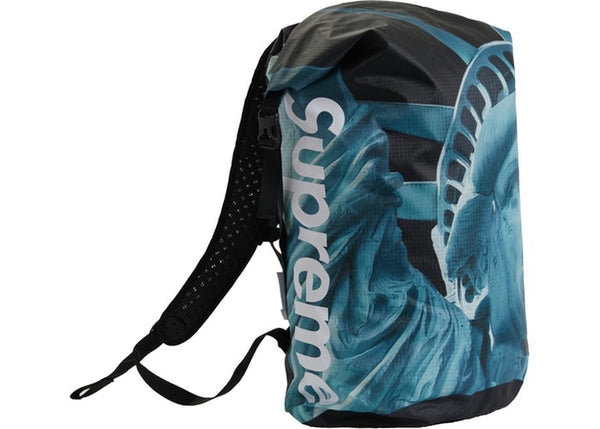 Supreme/The North Face Statue of Liberty Waterproof Backpack